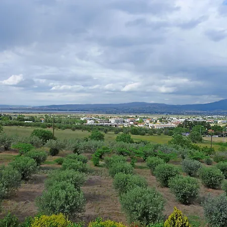 Ambassador Thessaloniki Plajári