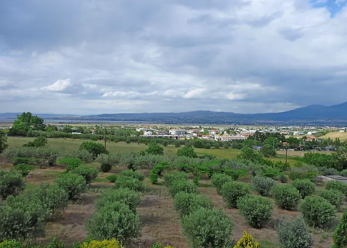 Ambassador Thessaloniki Plagiárion